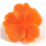 Carving from vegetables and fruits?