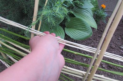 Flower bed from the vine with your own hands