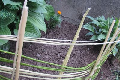 Flower bed from the vine with your own hands