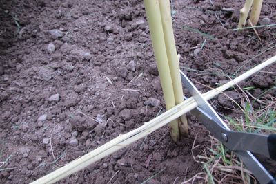 Flower bed from the vine with your own hands