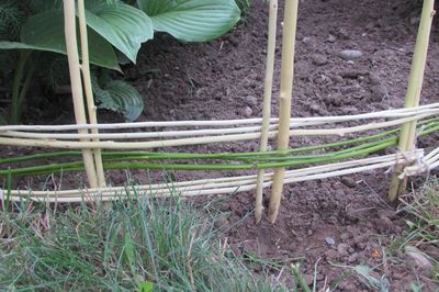 Flower bed from the vine with your own hands