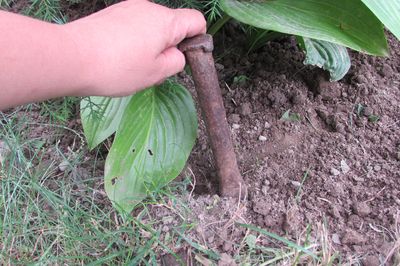 Flower bed from the vine with your own hands