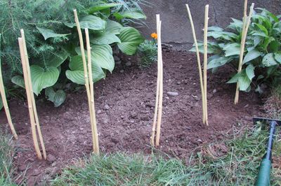 Flower bed from the vine with your own hands