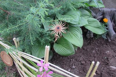 Flower bed from the vine with your own hands