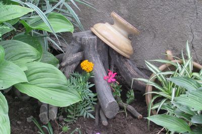 Flower bed from the vine with your own hands