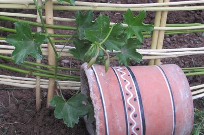 Flower bed from the vine with your own hands