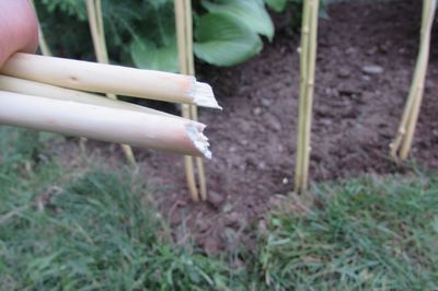 Flower bed from the vine with your own hands