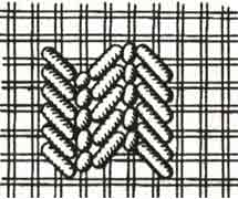 Seam of branch Seam of branch