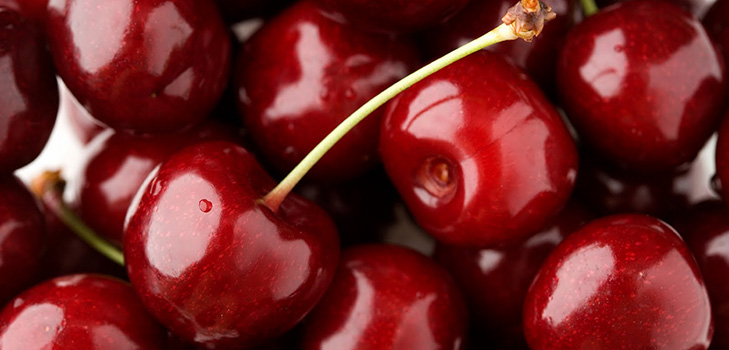 The best varieties of cherry - description with photo