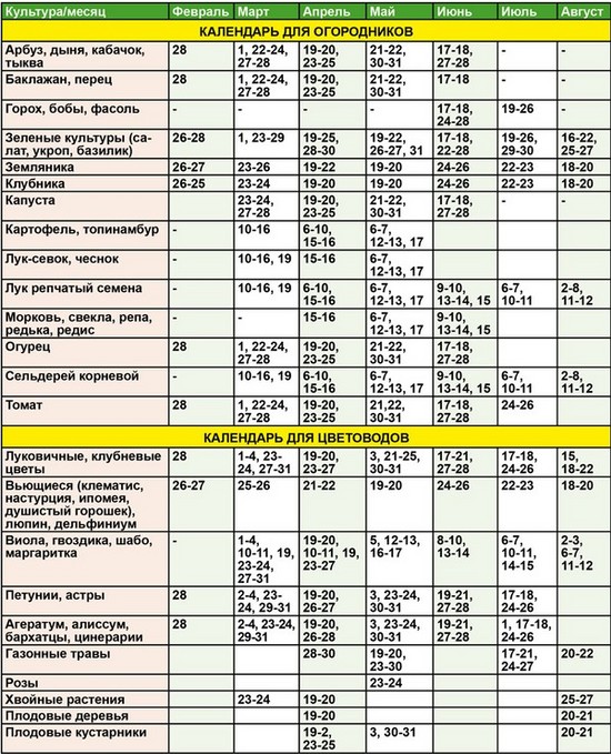 Lunar calendar of the horticultural gardener in August 2015