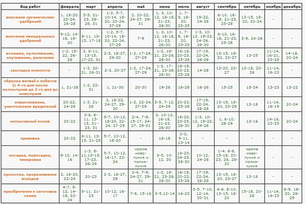 Lunar calendar of the horticultural gardener in August 2015