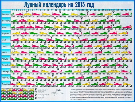 Lunar calendar of the horticultural gardener in August 2015
