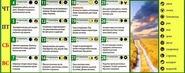 Lunar calendar truck farmer for August 2016 for the Moscow region, the middle zone of Russia, the Urals, Siberia, the Northwest, Belarus and Ukraine