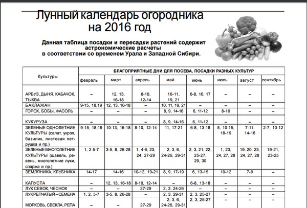 Lunar calendar truck farmer for August 2016 for the Moscow region, the middle zone of Russia, the Urals, Siberia, the Northwest, Belarus and Ukraine