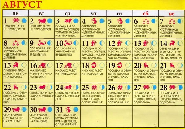 Lunar calendar truck farmer for August 2016 for the Moscow region, the middle zone of Russia, the Urals, Siberia, the Northwest, Belarus and Ukraine