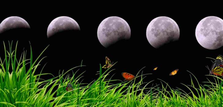 Lunar calendar truck farmer for August 2016 for the Moscow region, the middle zone of Russia, the Urals, Siberia, the Northwest, Belarus and Ukraine