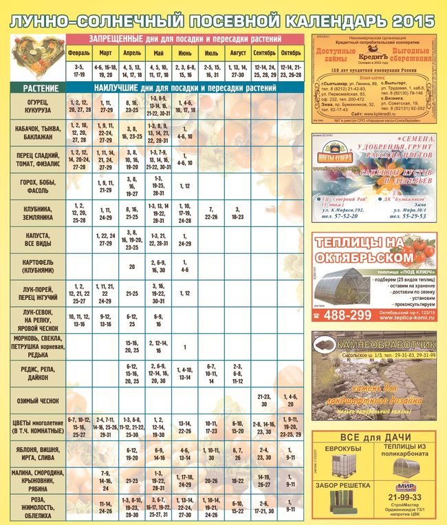 Gardener-gardener's calendar for July 2015 for the North-West