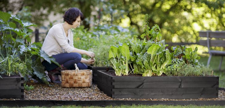 Lunar calendar of the gardener 2015 year