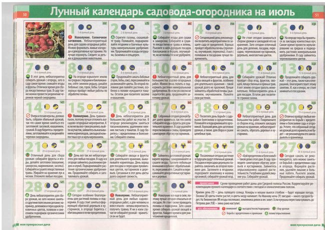 Lunar Calendar of the Gardener in the Mid-Range 2015