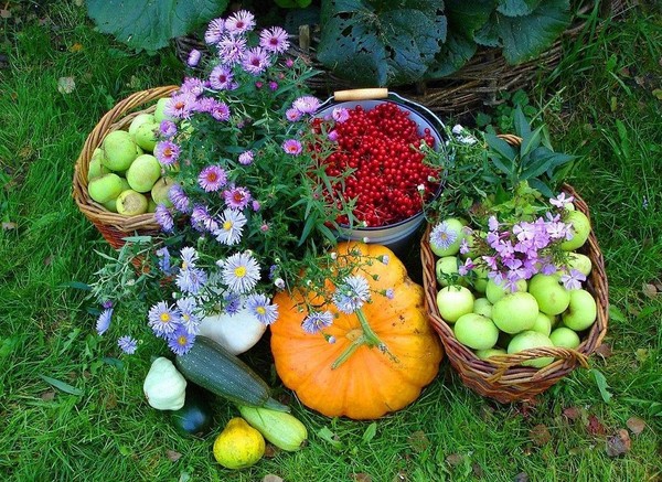 Lunar Calendar of the truck farmer for September 2016 for Moscow Region, North-West, Ural, Siberia, Ukraine, Belarus Lunar Calendar of the truck farmer for September 2016 for Moscow Region, North-West, Ural, Siberia, Ukraine, Belarus