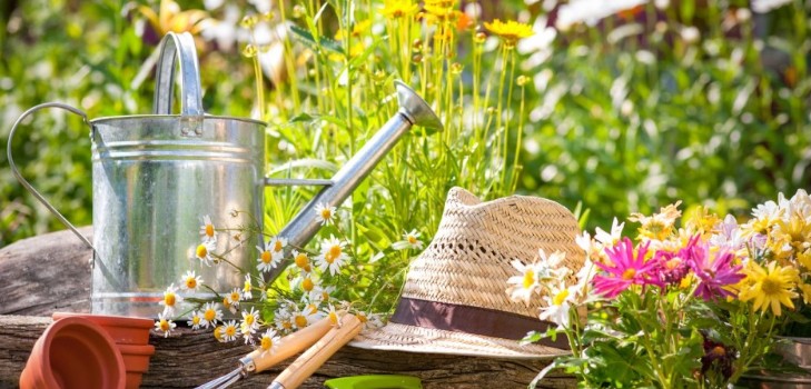 Lunar calendar of the gardener-gardener in September 2015