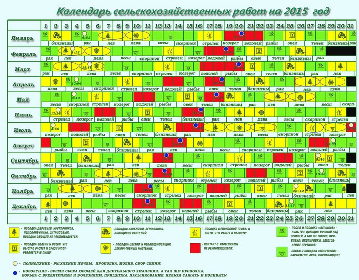 Lunar calendar of the gardener-gardener in September 2015