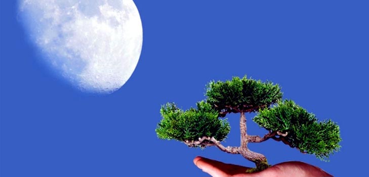 Lunar calendar of the gardener and truck farmer 2015 Lunar calendar of the gardener and truck farmer 2015