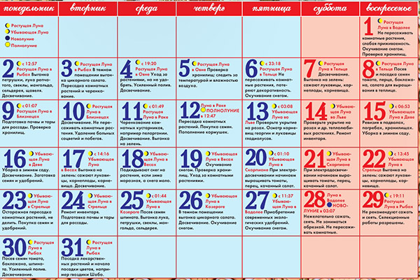Lunar sowing calendar for January 2017 in the table for gardeners and truck farmers. Favorable planting days for tomatoes (tomatoes) for lunar seedlings-2017