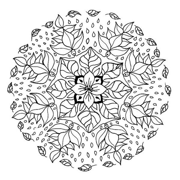 What are mandalas?