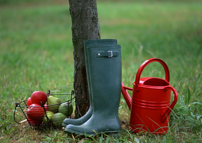 Autumn work in the garden