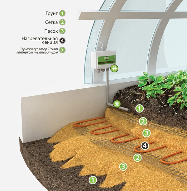 Types and arrangement of heating of greenhouses in winter