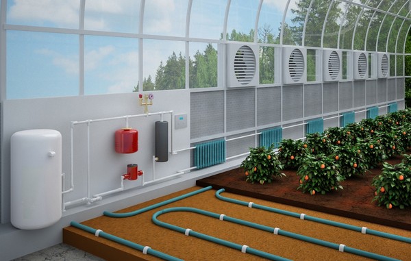 Types and arrangement of heating of greenhouses in winter