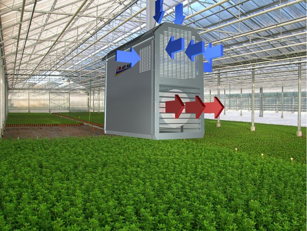 Types and arrangement of heating of greenhouses in winter