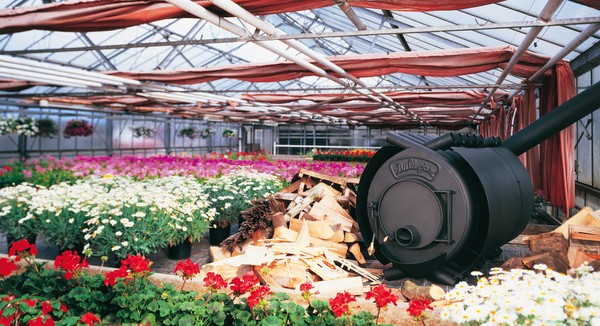 Types and arrangement of heating of greenhouses in winter