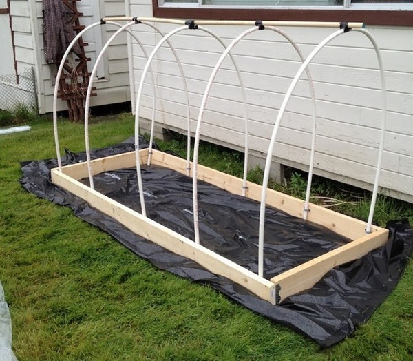 Hot Springs for Seedling: Step-by-Step Guide, Photos, Videos