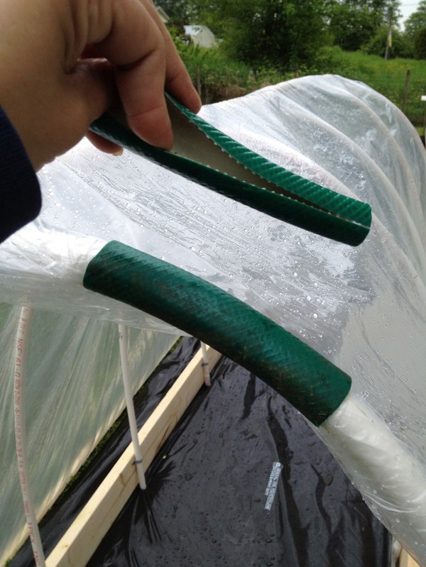 Hot Springs for Seedling: Step-by-Step Guide, Photos, Videos