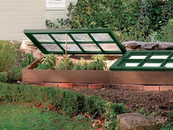 Hot Springs for Seedling: Step-by-Step Guide, Photos, Videos