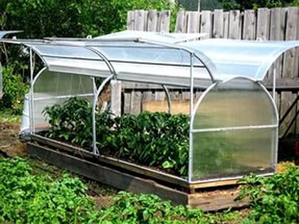 Hot Springs for Seedling: Step-by-Step Guide, Photos, Videos