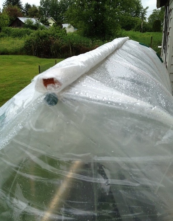 Hot Springs for Seedling: Step-by-Step Guide, Photos, Videos