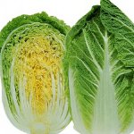 Peking cabbage: cultivation Peking cabbage: cultivation
