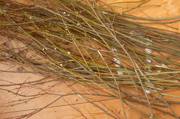 Weaving from the Vine Weaving from the Vine