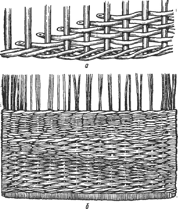 Weaving from the Vine Weaving from the Vine