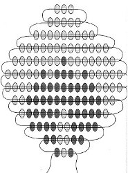 The scheme of roses from beads