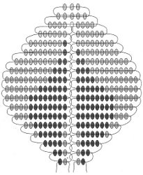 The scheme of roses from beads The scheme of roses from beads