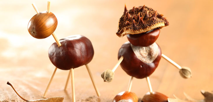 Crafts from chestnuts on the theme of Autumn