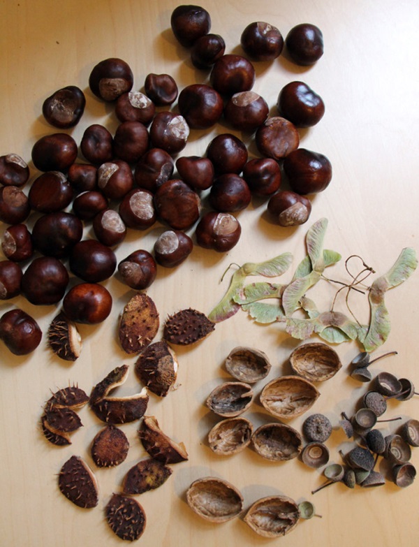 Crafts from chestnuts on the theme of Autumn