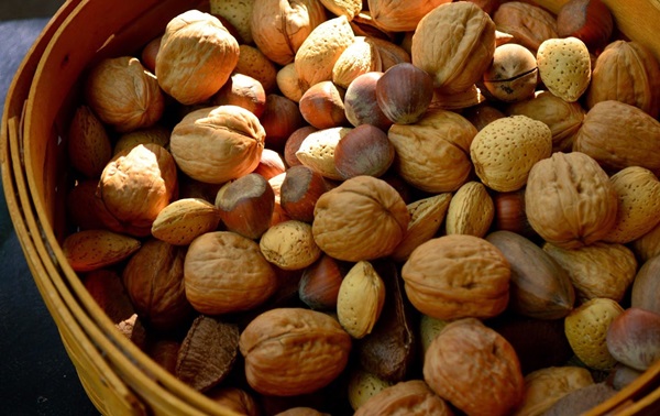 Crafts from chestnuts on the theme of Autumn
