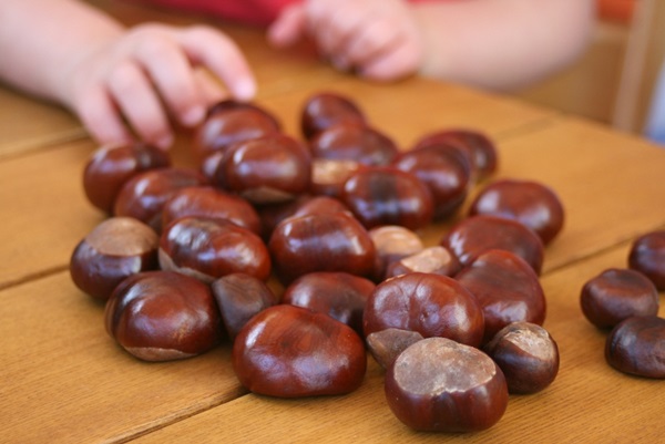 Crafts from chestnuts on the theme of Autumn