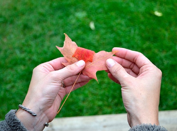 Crafts from leaves on the theme "Autumn" with their own hands for schoolchildren