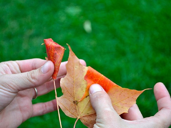 Crafts from leaves on the theme "Autumn" with their own hands for schoolchildren